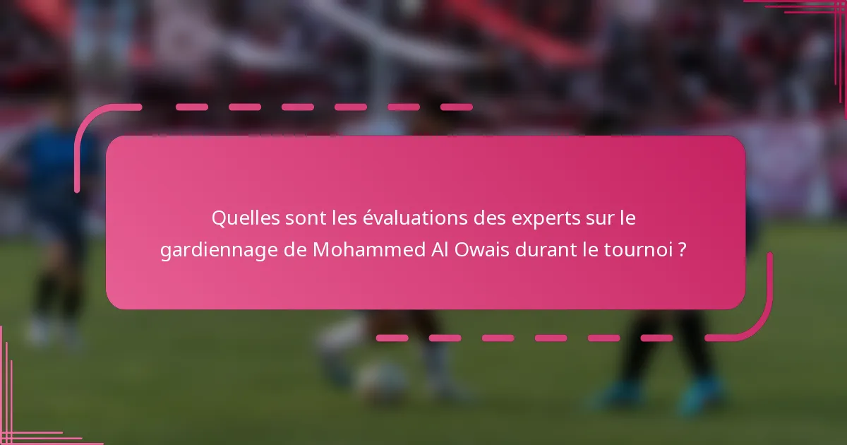 Quelles sont les évaluations des experts sur le gardiennage de Mohammed Al Owais durant le tournoi ?